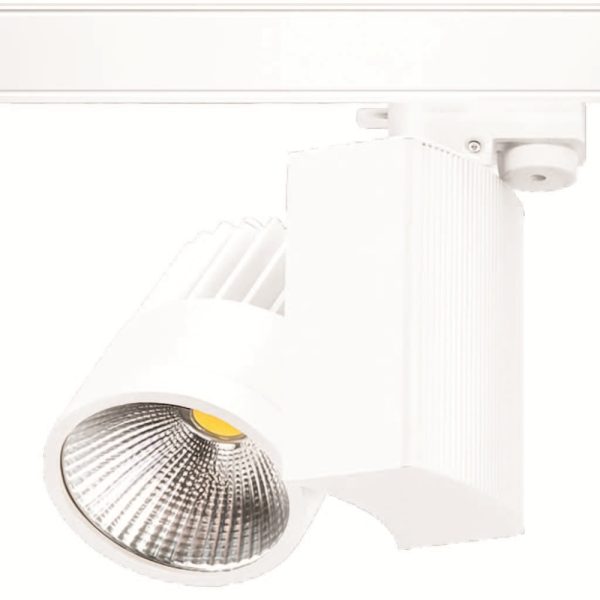 LED RAY SPOT 30W (3000K) BEYAZ